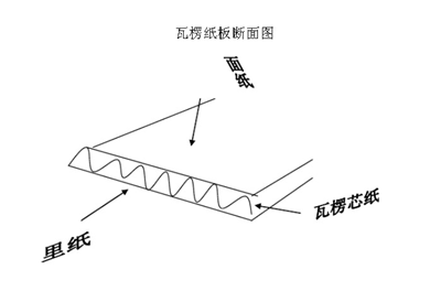 瓦楞纸断面图 -